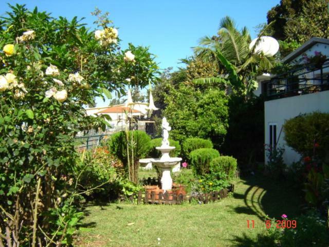 Apartamentos Jardim Funchal  Exterior photo